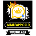  2023 Whatsapp Gold